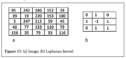 tumor-kernel