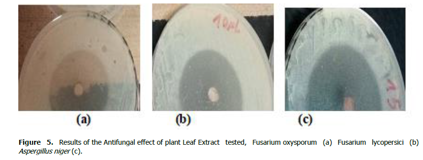 ukrainian-journal-ecology-fusarium