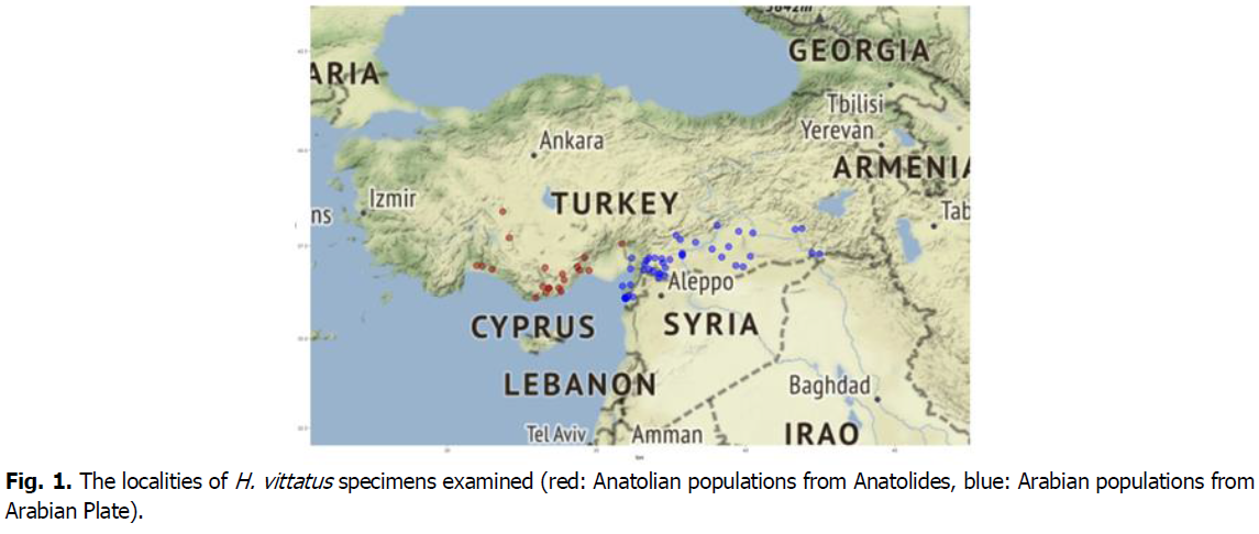 ukrainian-journal-ecology-anatolides