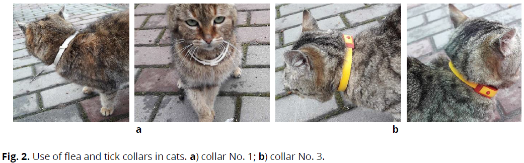 ukrainian-journal-ecology-cats