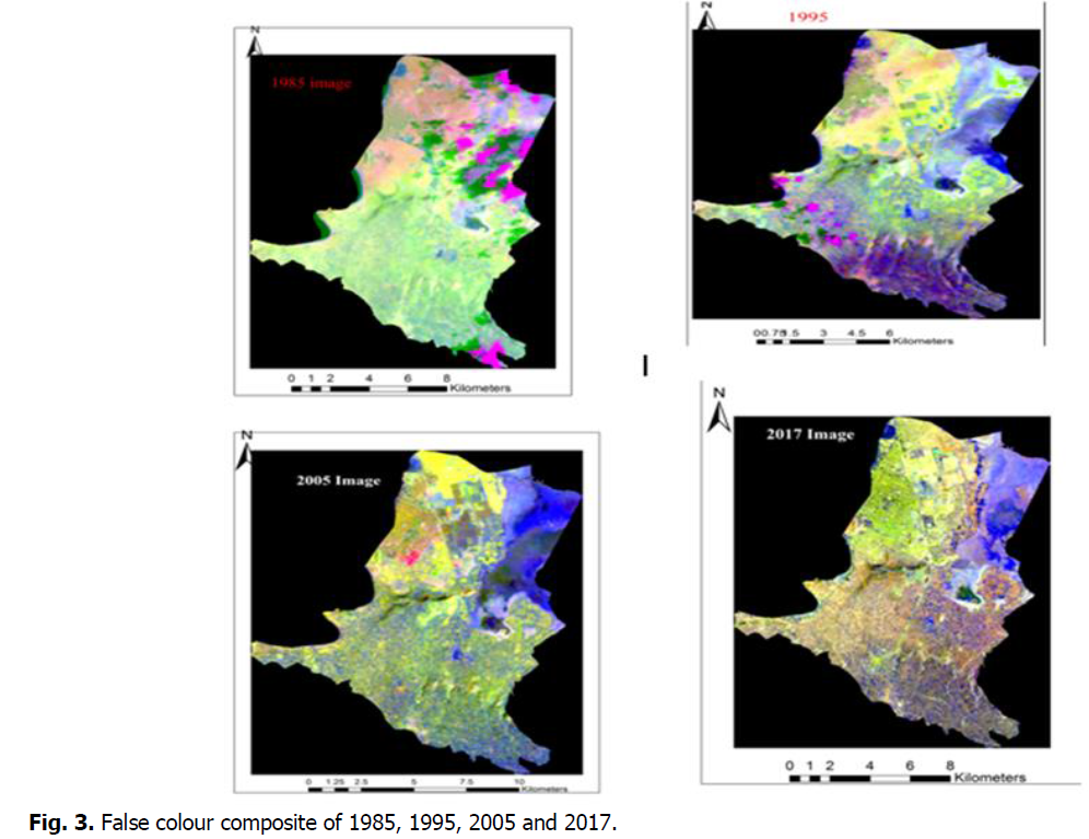 ukrainian-journal-ecology-false-colour