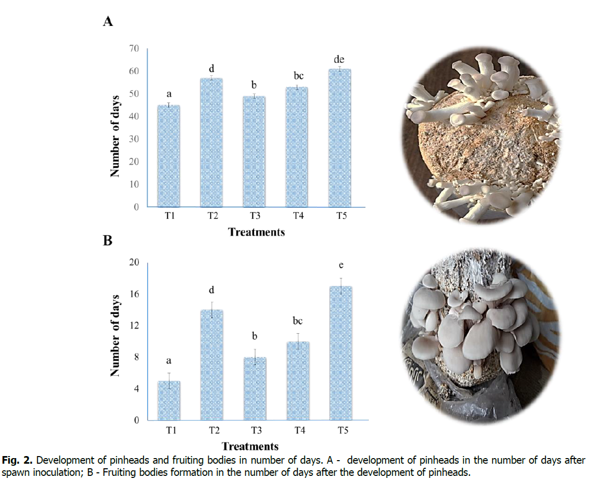 ukrainian-journal-ecology-fruiting-bodies