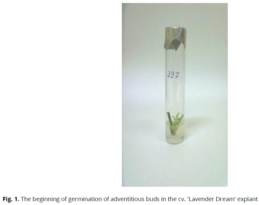 ukrainian-journal-ecology-germination