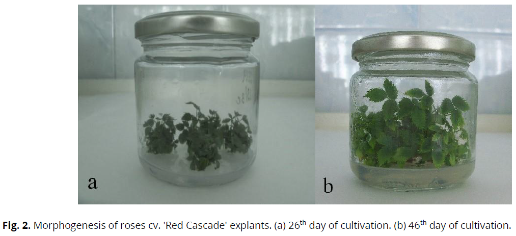 ukrainian-journal-ecology-morphogenesis