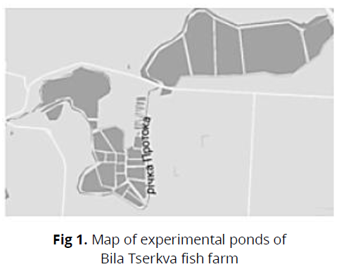 ukrainian-journal-ecology-ponds