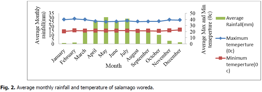 ukrainian-journal-ecology-salamago