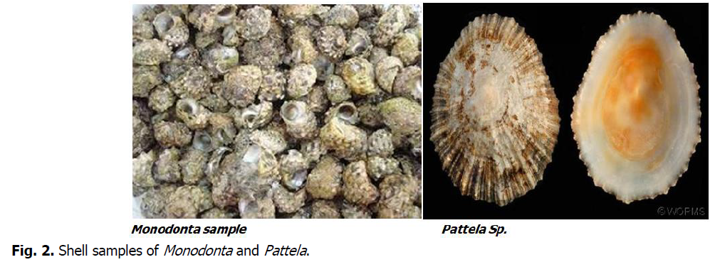 ukrainian-journal-ecology-samples