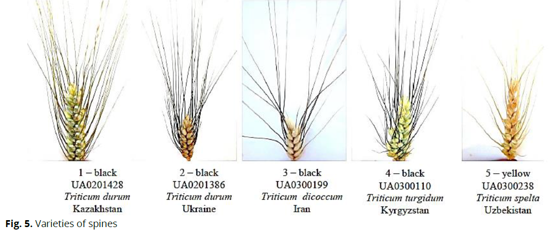 ukrainian-journal-ecology-spines