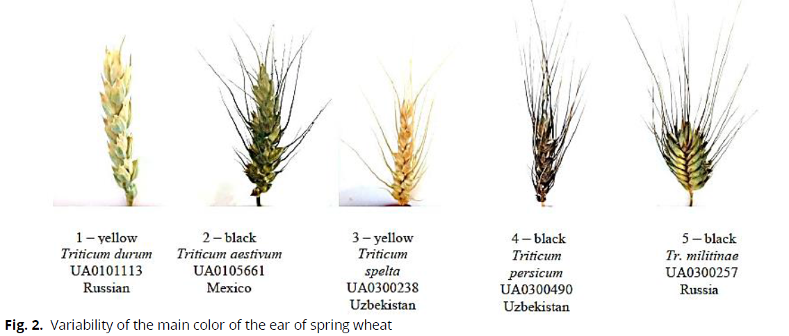 ukrainian-journal-ecology-variability