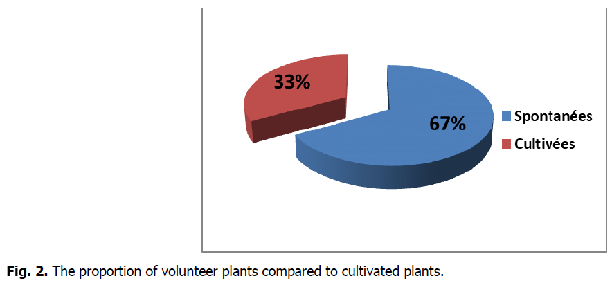 ukrainian-journal-ecology-volunteer