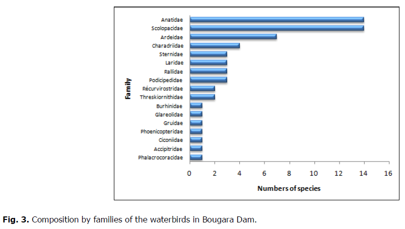 ukrainian-journal-ecology-waterbirds