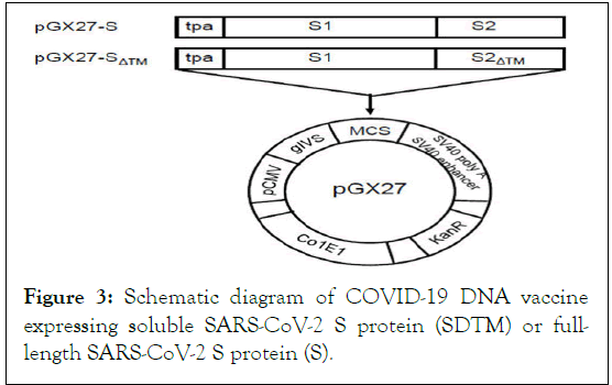 virology-covid19