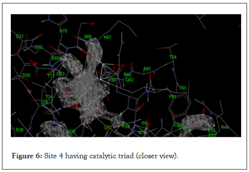 virology-mycology-catalytic