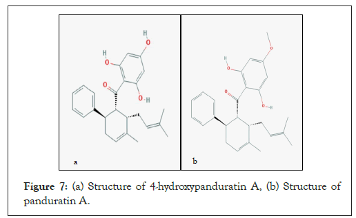 virology-mycology-panduratin