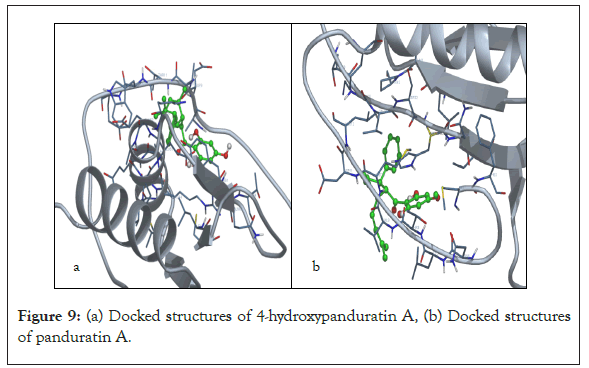 virology-mycology-panduratin