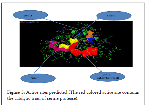 virology-mycology-predicted