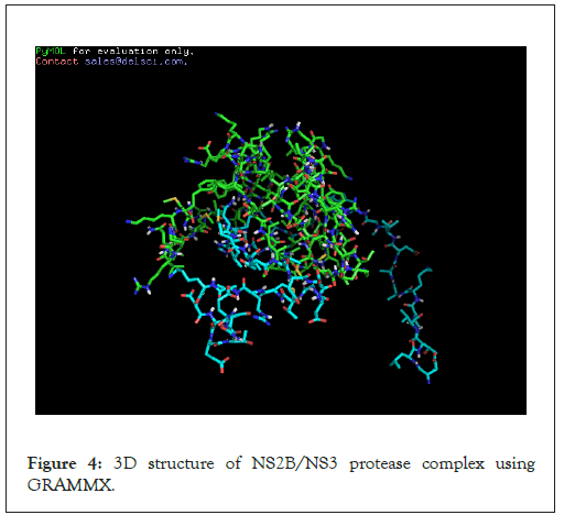 virology-mycology-protease