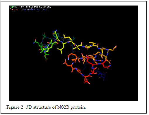 virology-mycology-protein