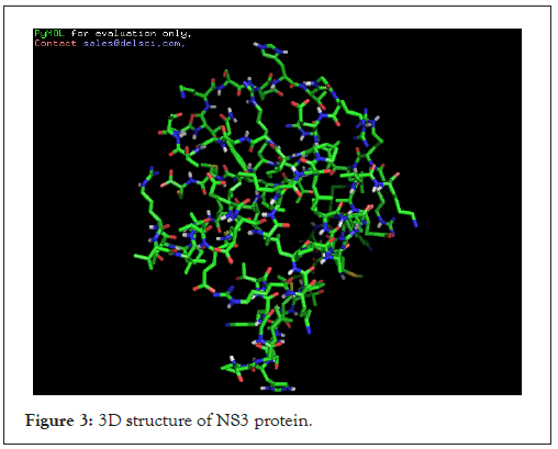 virology-mycology-structure