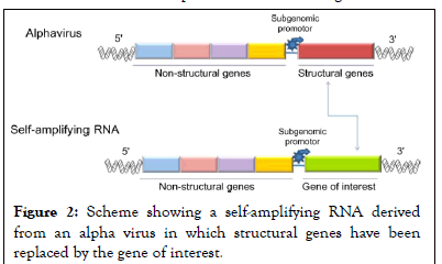 virology-rna