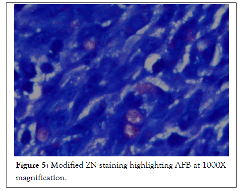 virology-staining