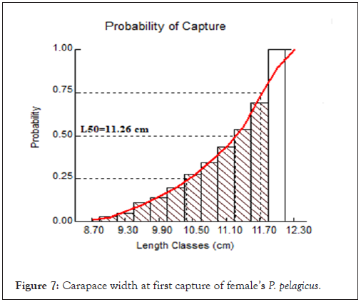 wildlife-sciences-stock-carapace-width