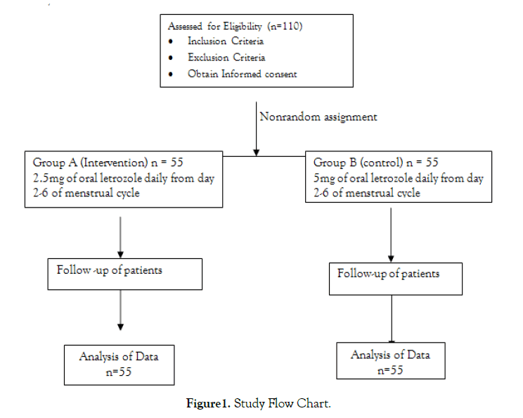 womens-health-care-flow-chart