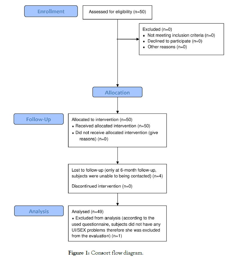 womens-health-care-flow-diagram