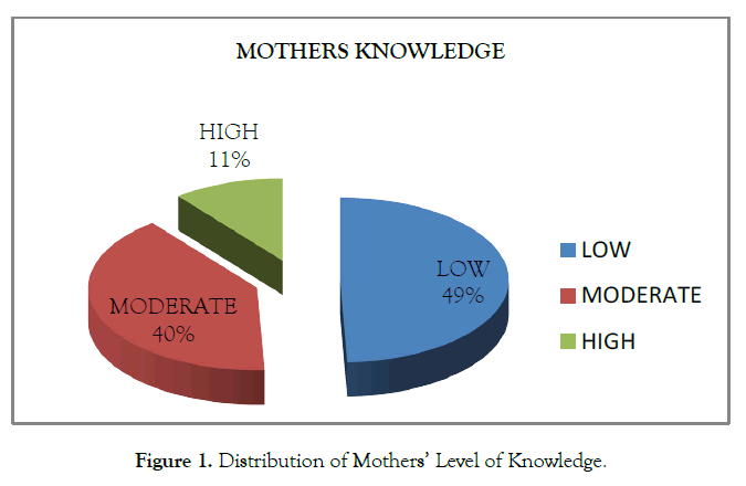 womens-health-care-mothers-level