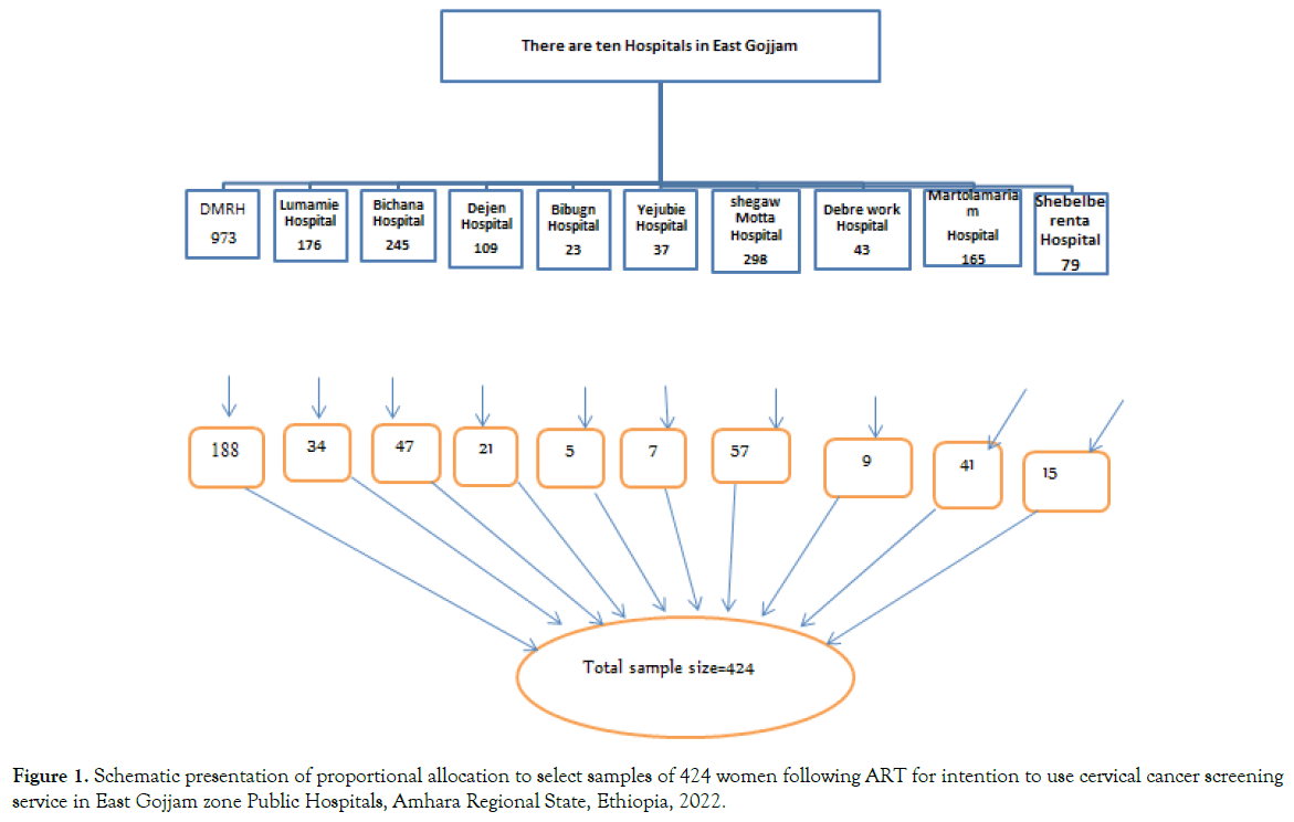 womens-health-care-schematic-presentation