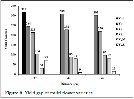 Agricultural-Research