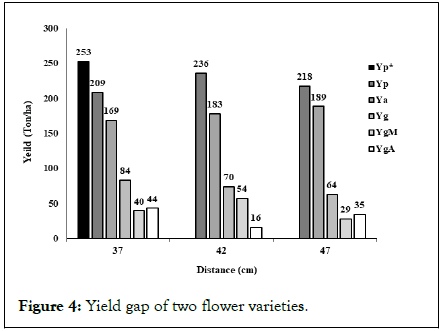 Agricultural-Research