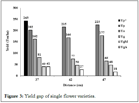 Agricultural-Research