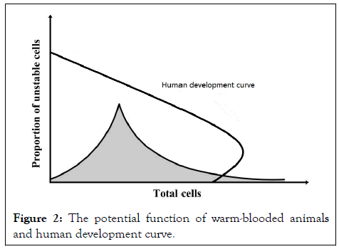 development