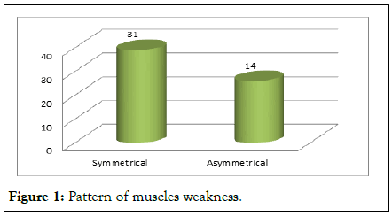 Anatomy-Research