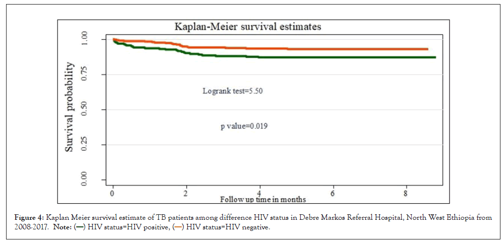 estimate