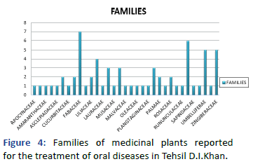 Applied-Research-Families