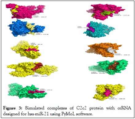 Cancer-Oncology