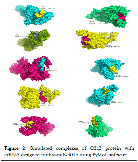 Cancer-Oncology