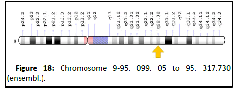 Cancer-Research-Chromosome