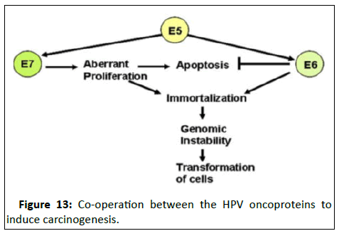 Cancer-Research-HPV