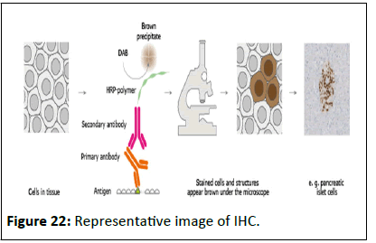 Cancer-Research-IHC