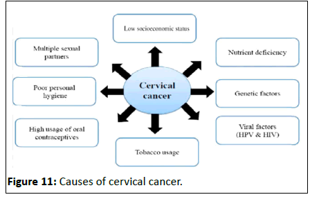 Cancer-Research-cancer