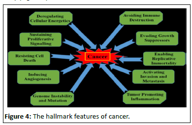 Cancer-Research-hallmark