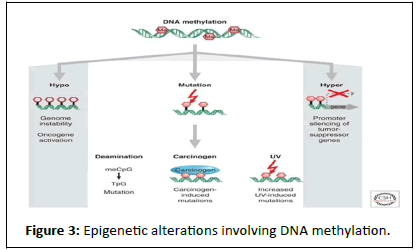 Cancer-Research-methylation