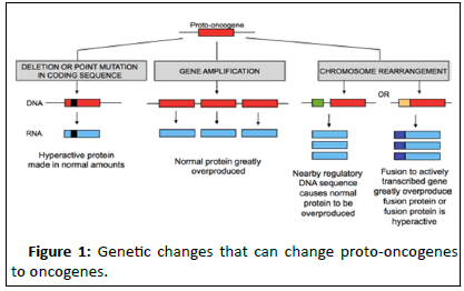 Cancer-Research-proto