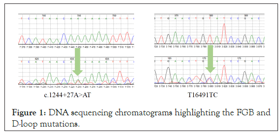 chromatograms