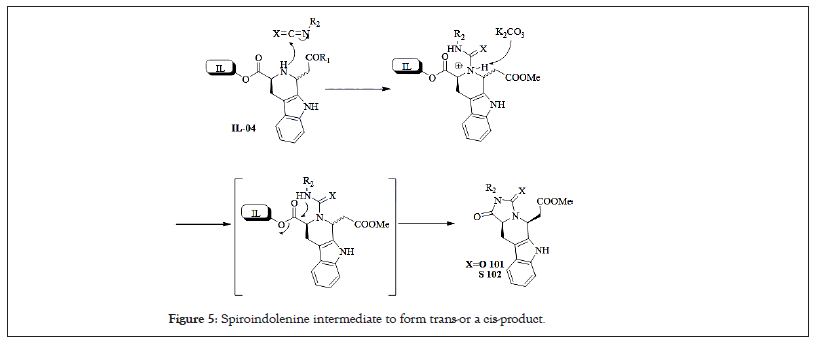 intermediate