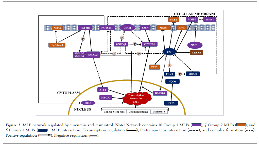 network