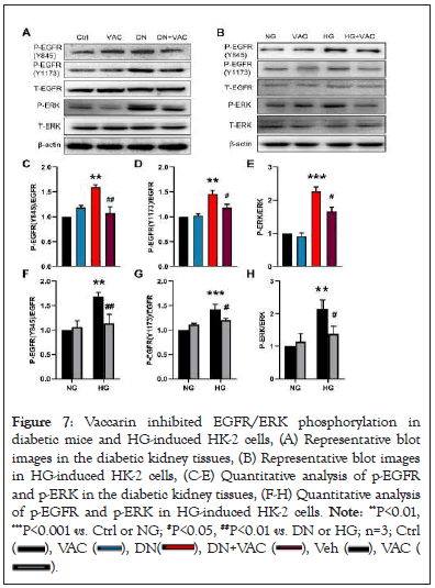 phosphorylation